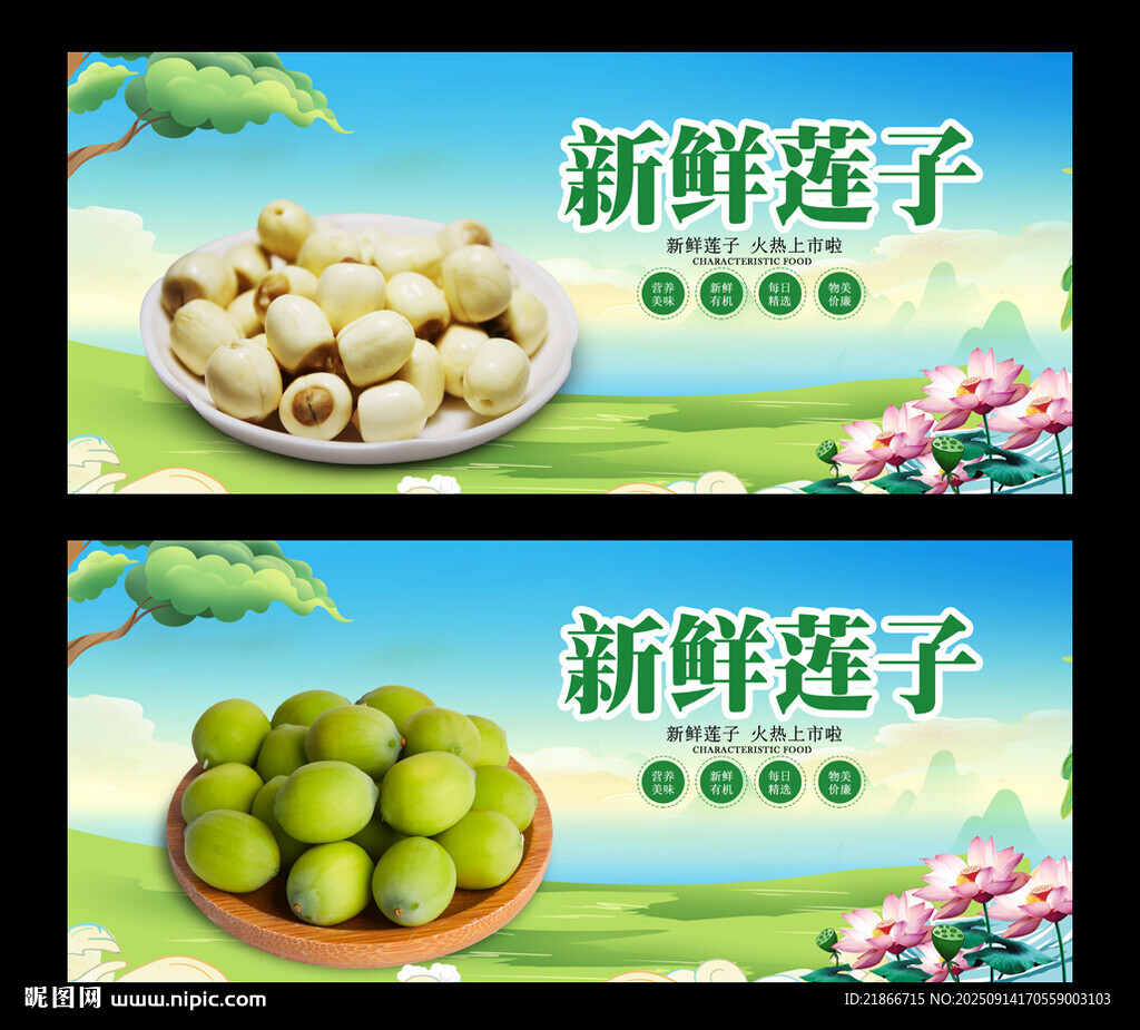 莲子