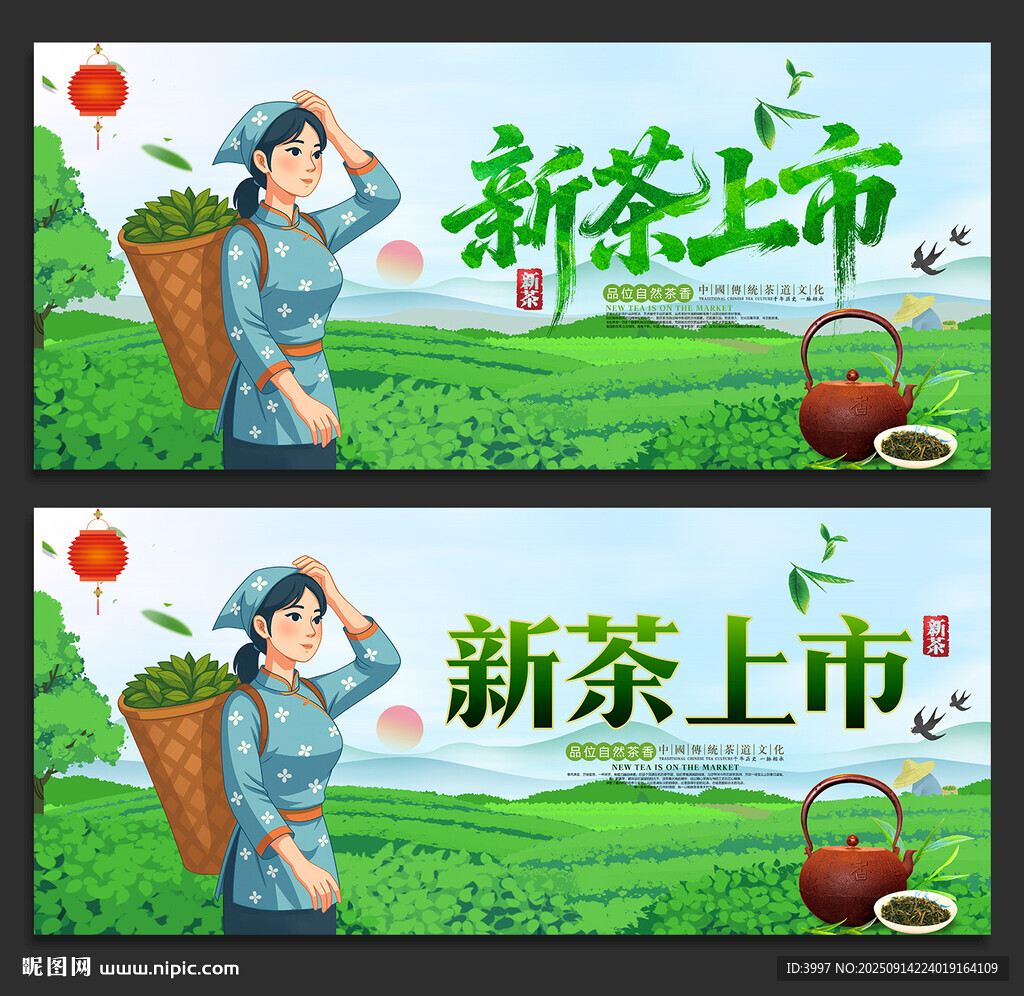 新茶上市