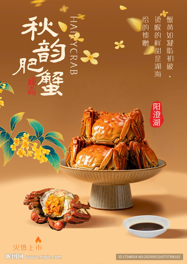 大闸蟹海报