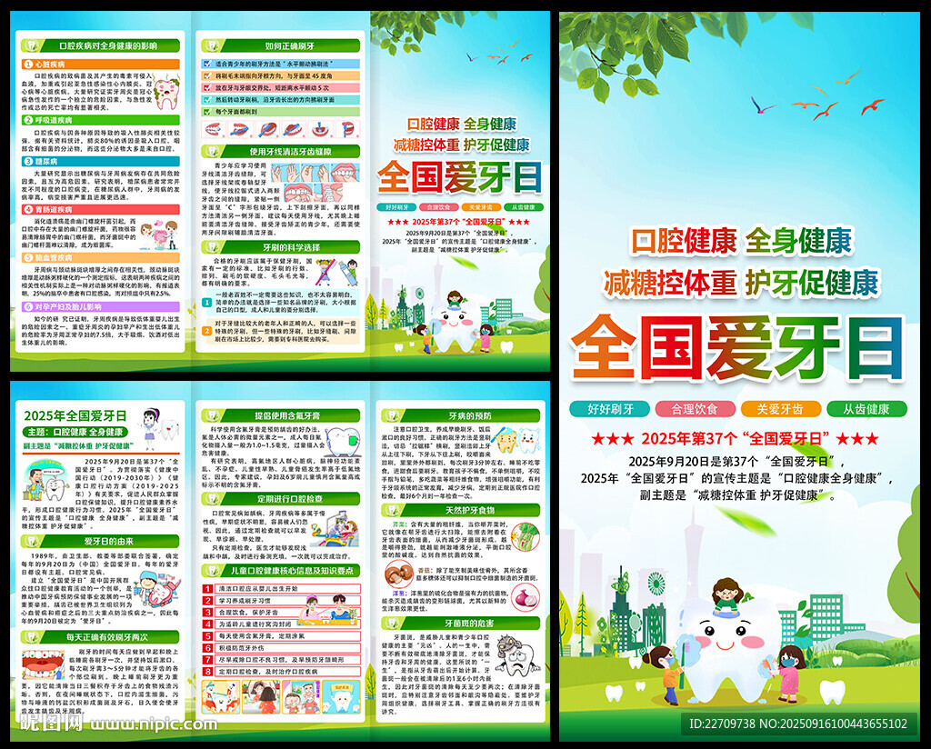 2025年全国爱牙日三折页