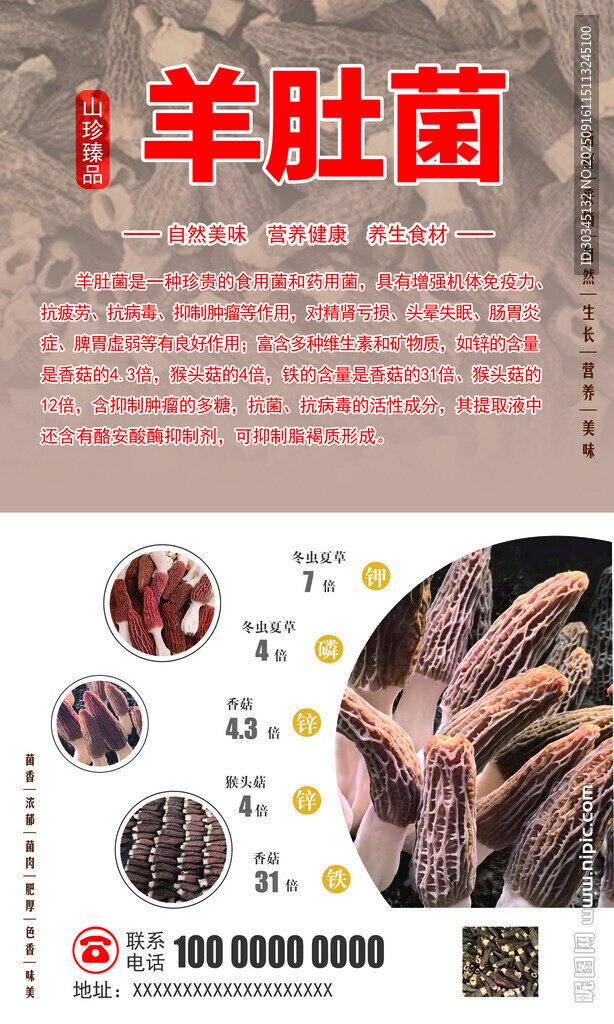 羊肚菌海报