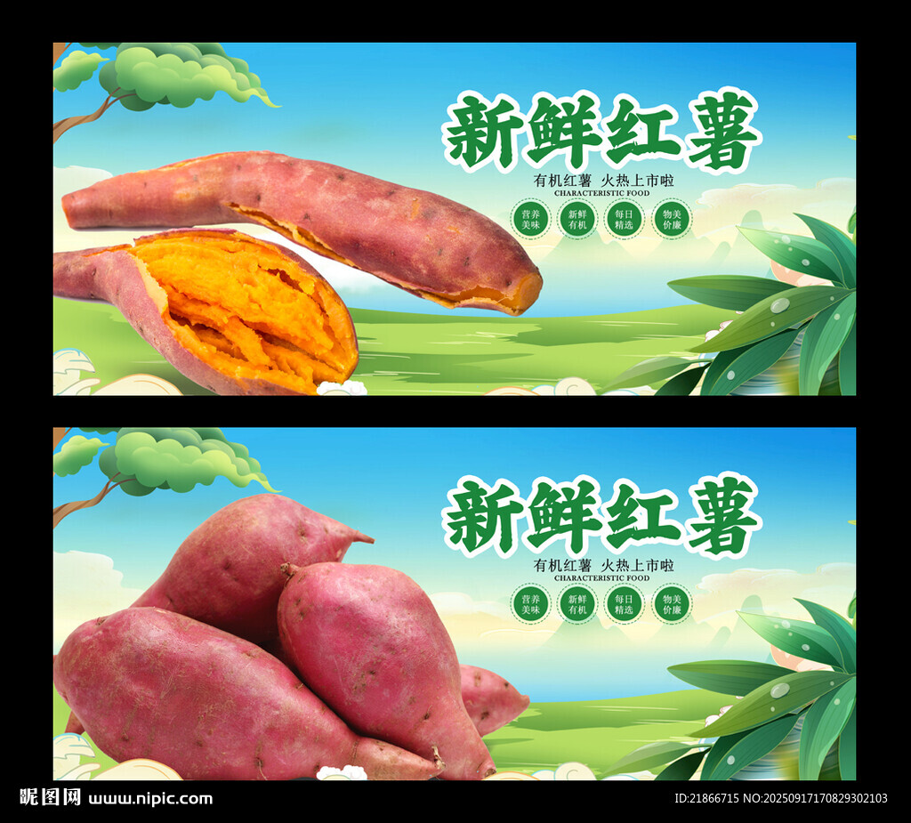 红薯