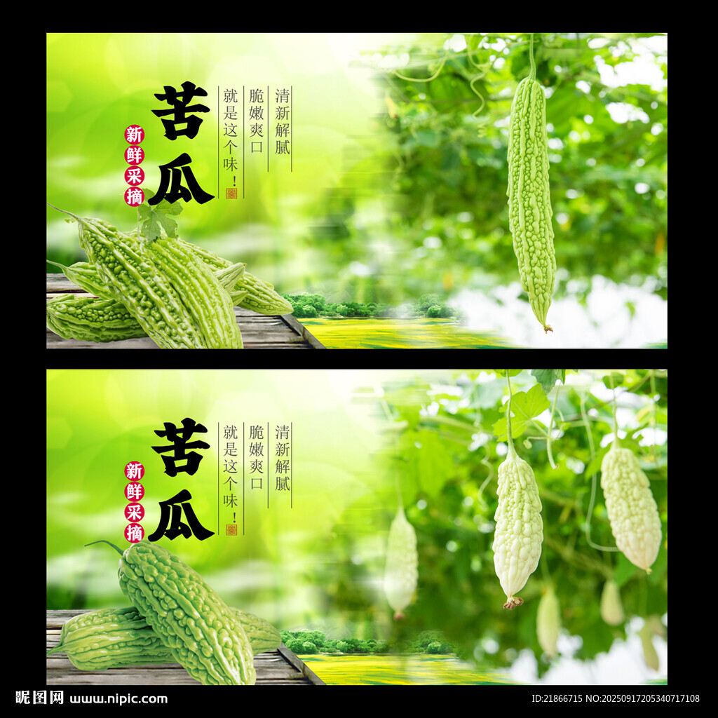 苦瓜