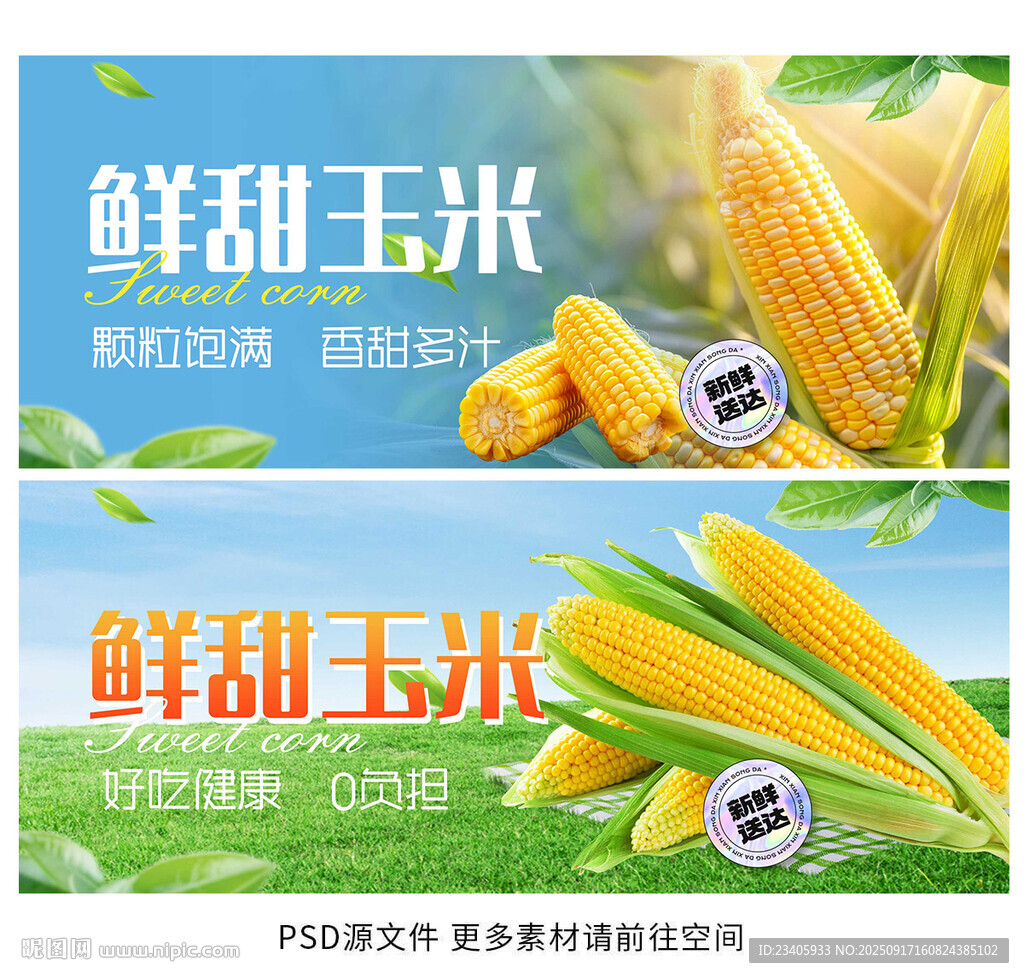玉米