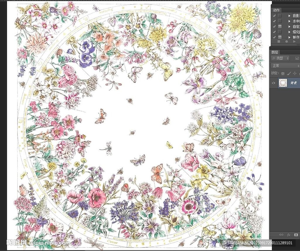 多彩花卉鸟类圆形插画
