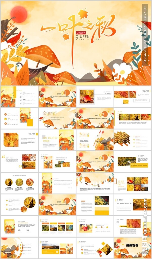 秋天金秋农业产品农场水稻小麦