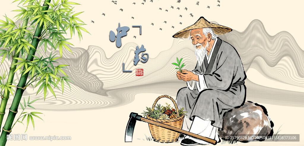中医文化中药文化