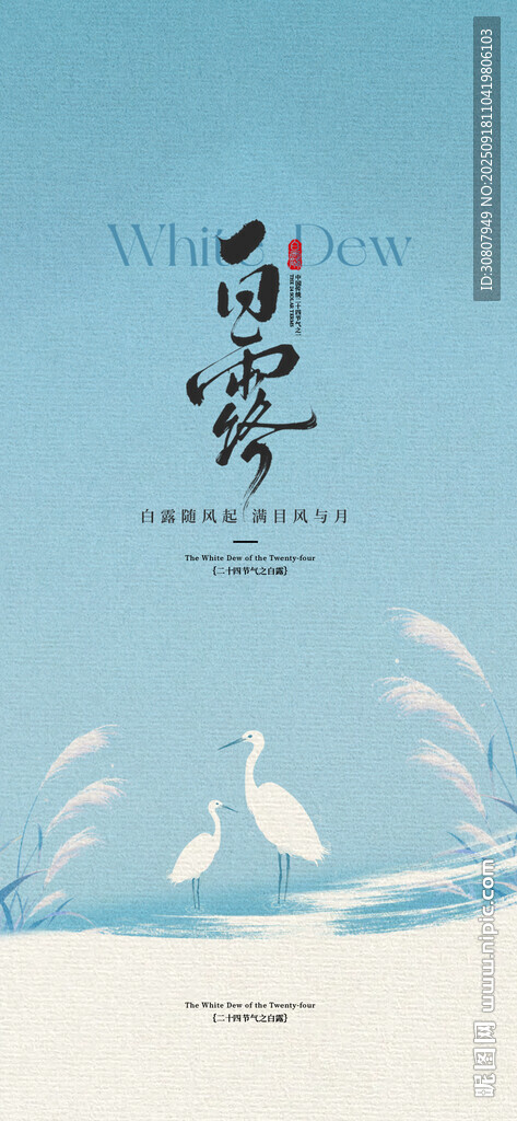 白露海报