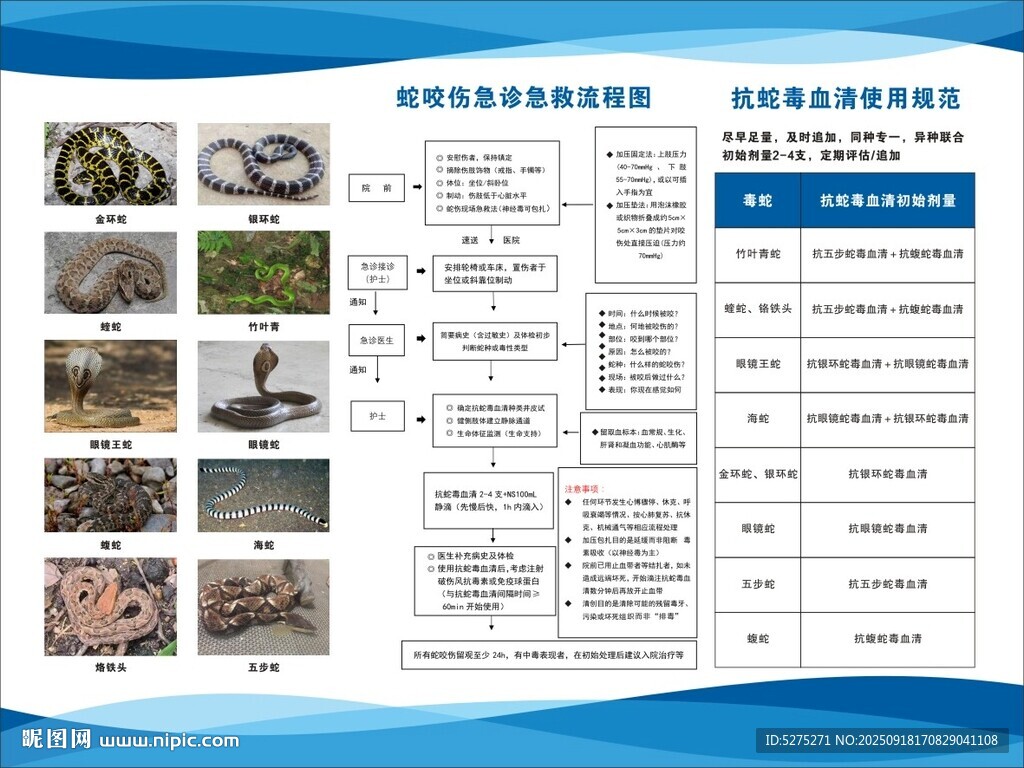 蛇咬伤急诊急救流程图 