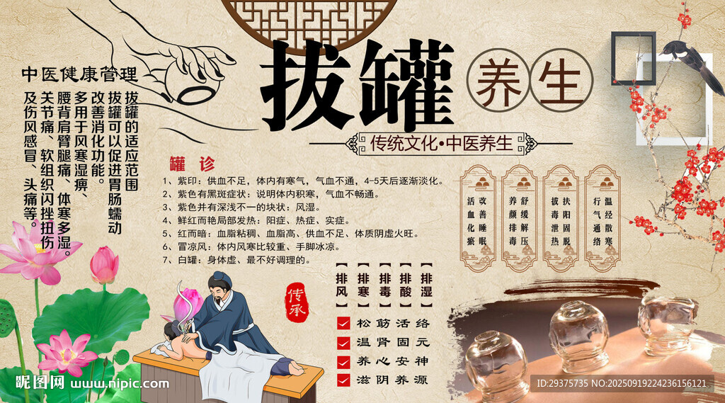 拔罐养生背景墙