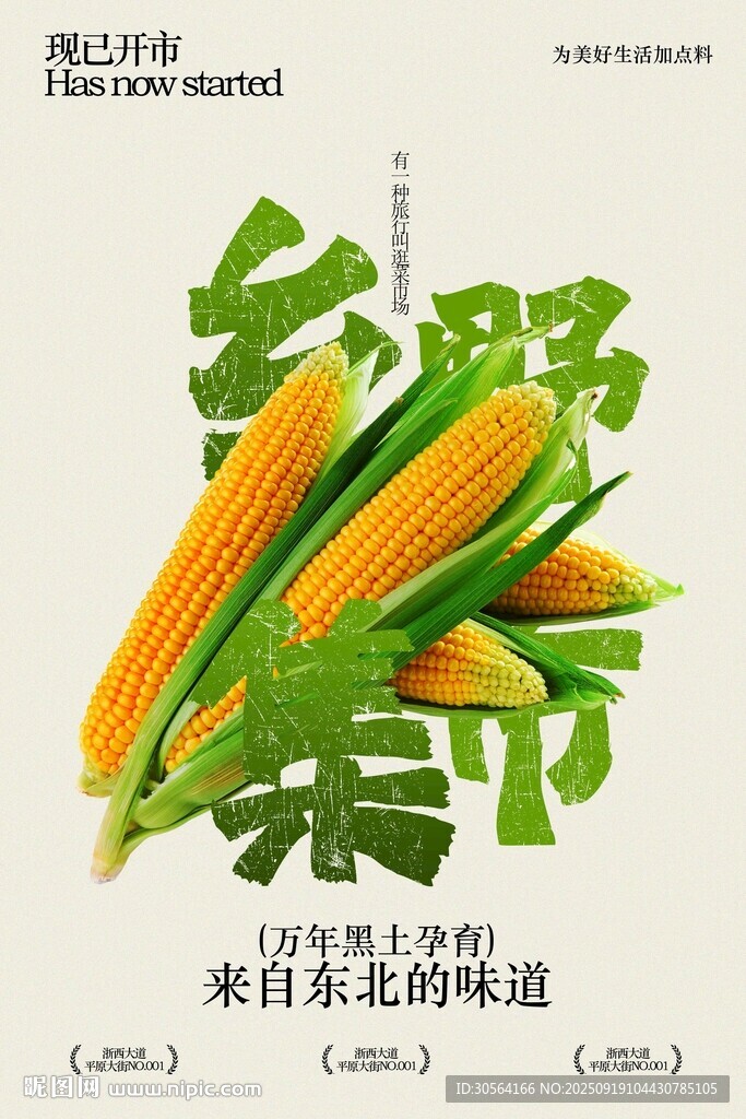 新鲜玉米乡野集市宣传海报