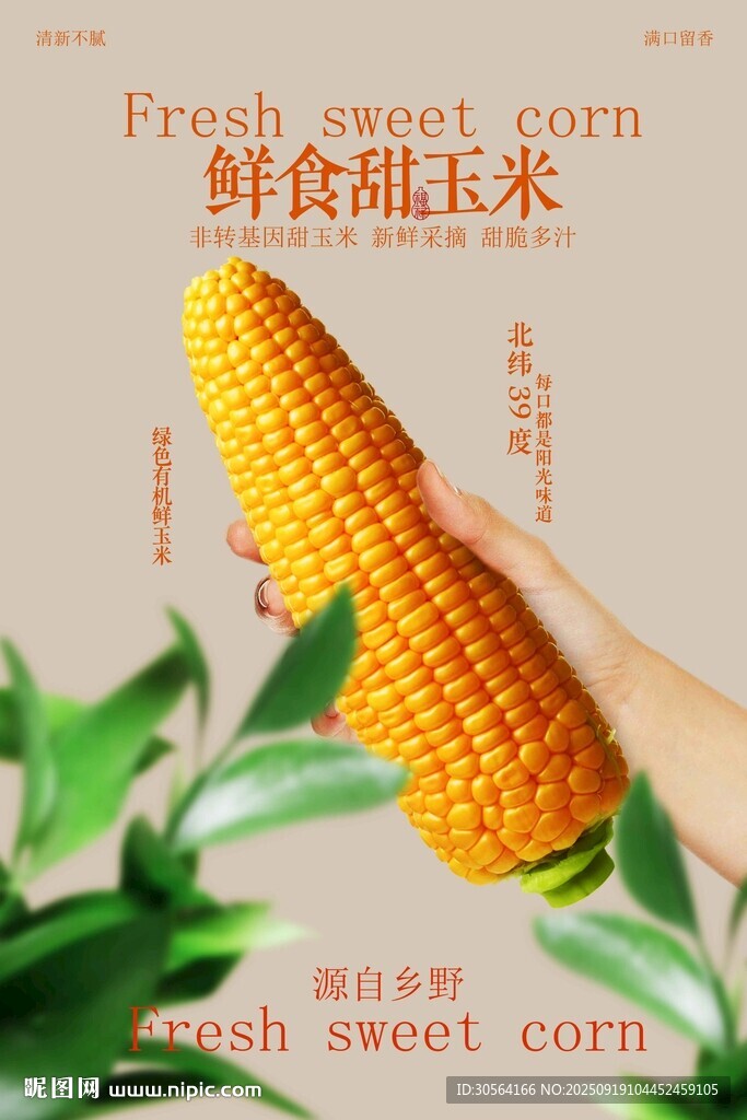 鲜食甜玉米美食小吃宣传海报