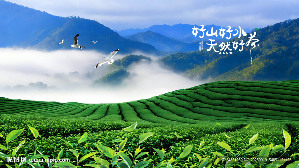 茶园