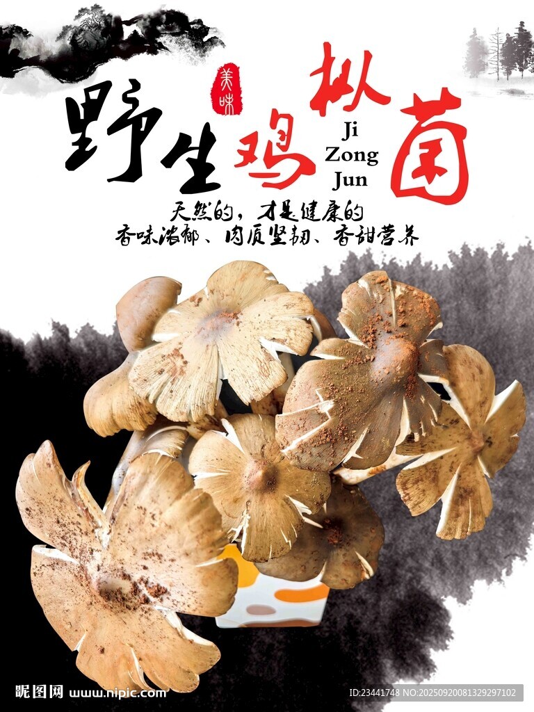 野生菌