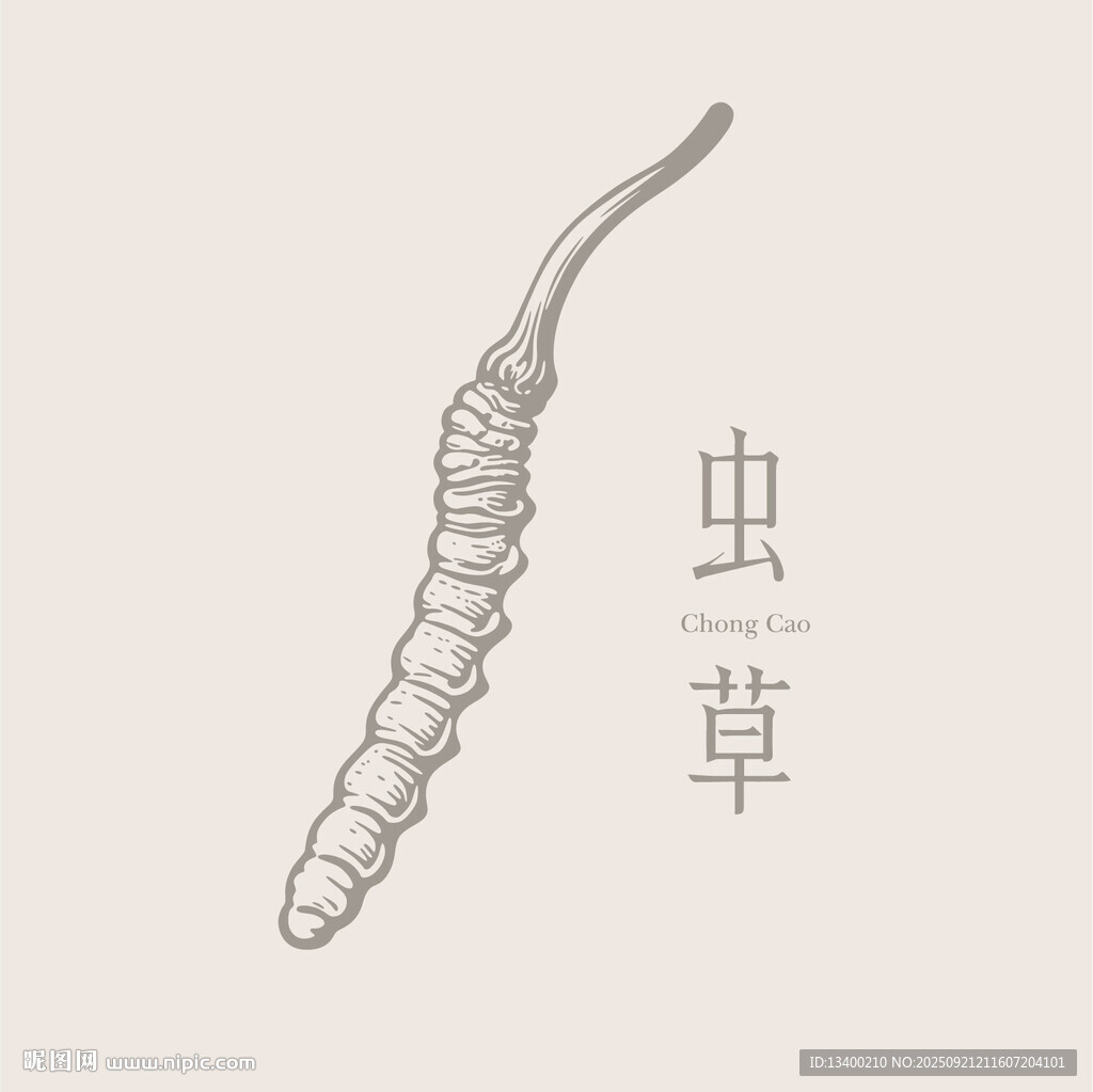 手绘虫草图