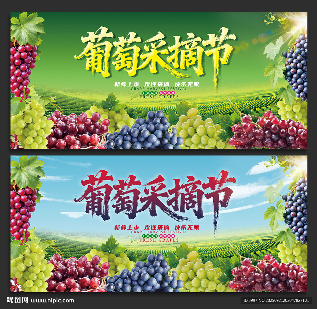 葡萄