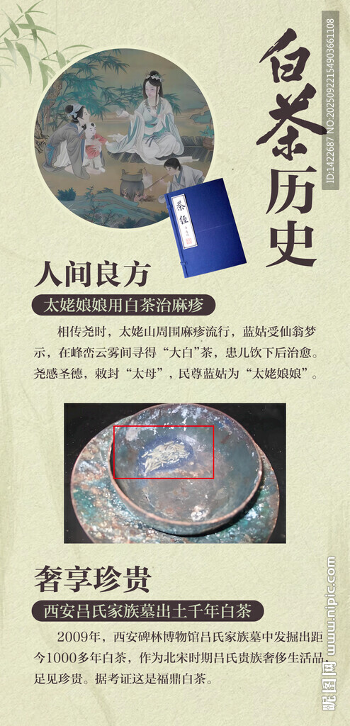 白茶历史