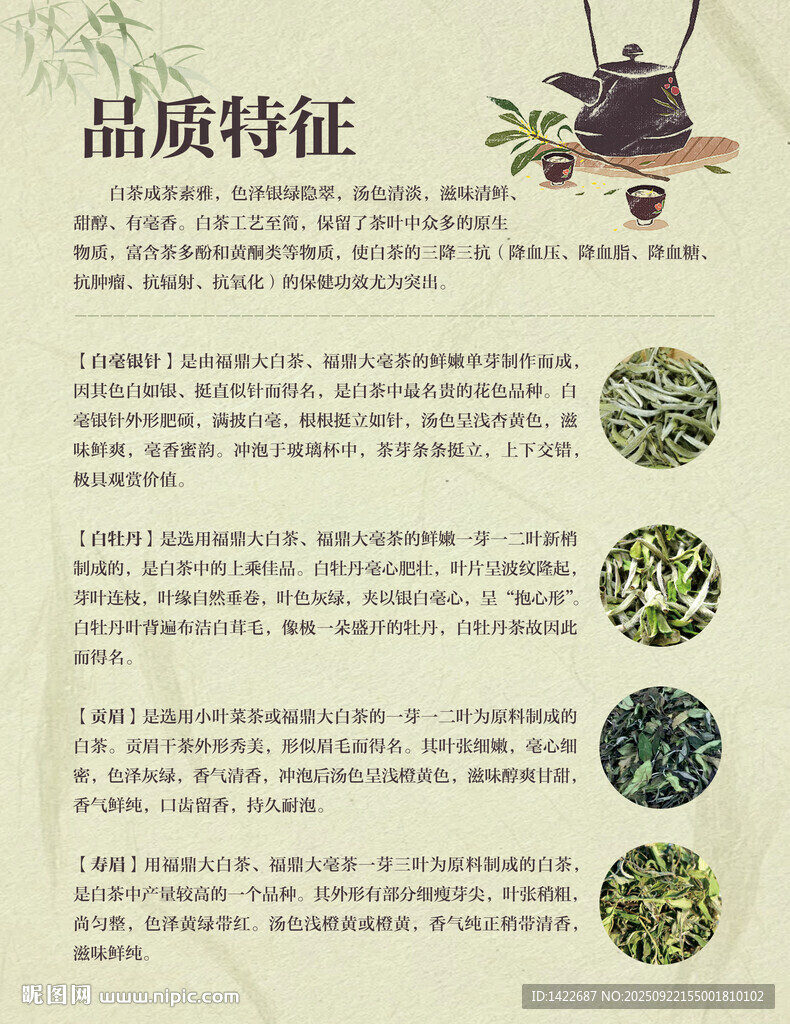 茶叶品质特征介绍