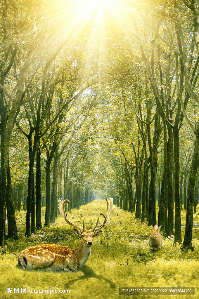 阳光森林中的休憩小鹿