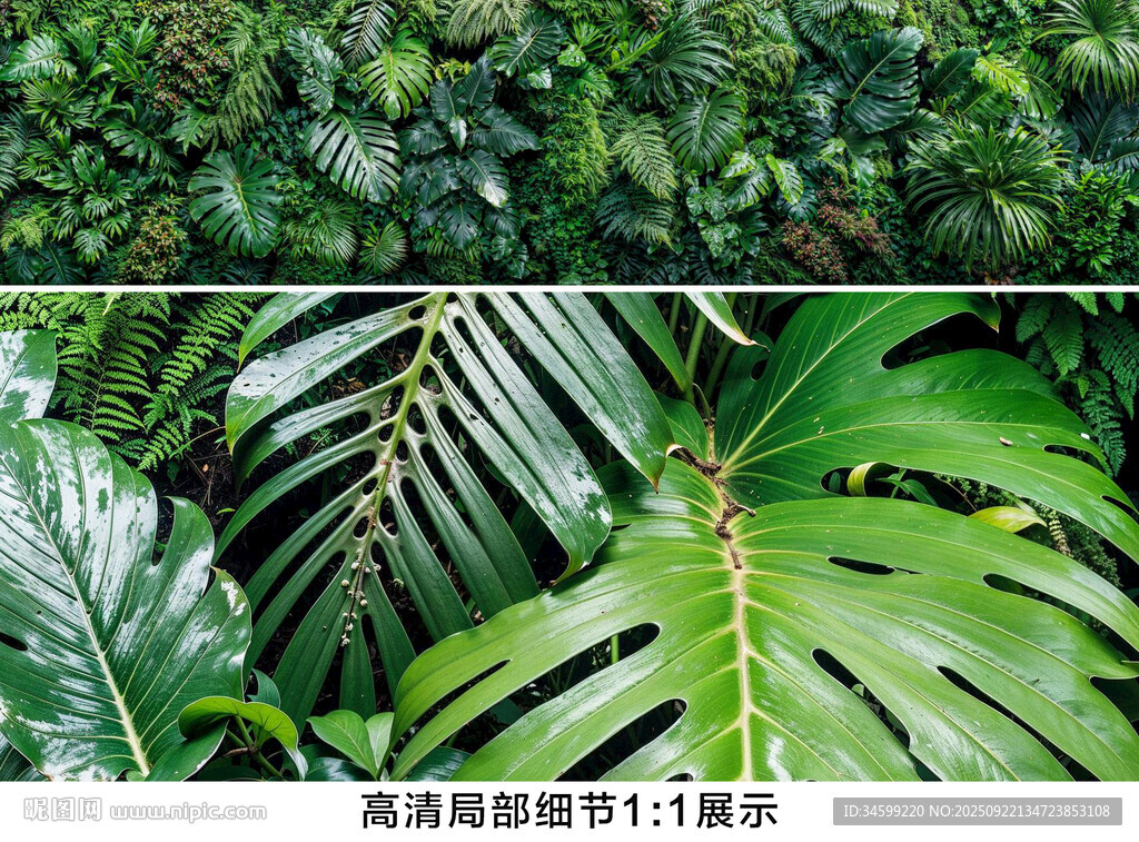 雨林绿叶背景墙壁画