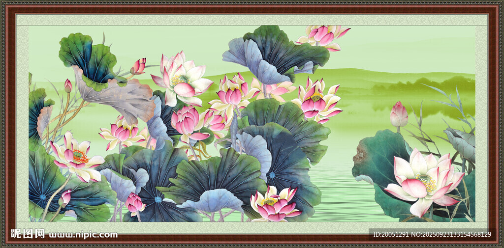 国画荷花 