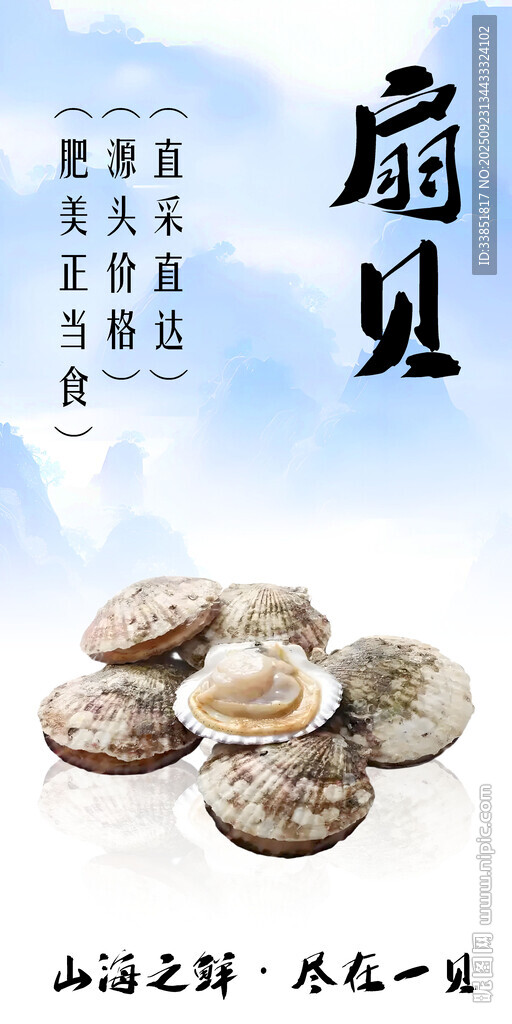 扇贝
