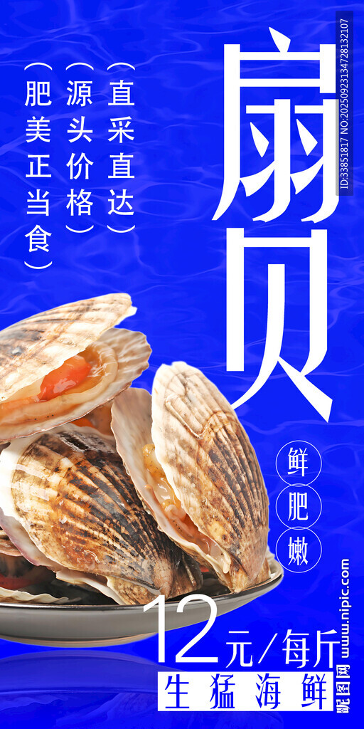 扇贝