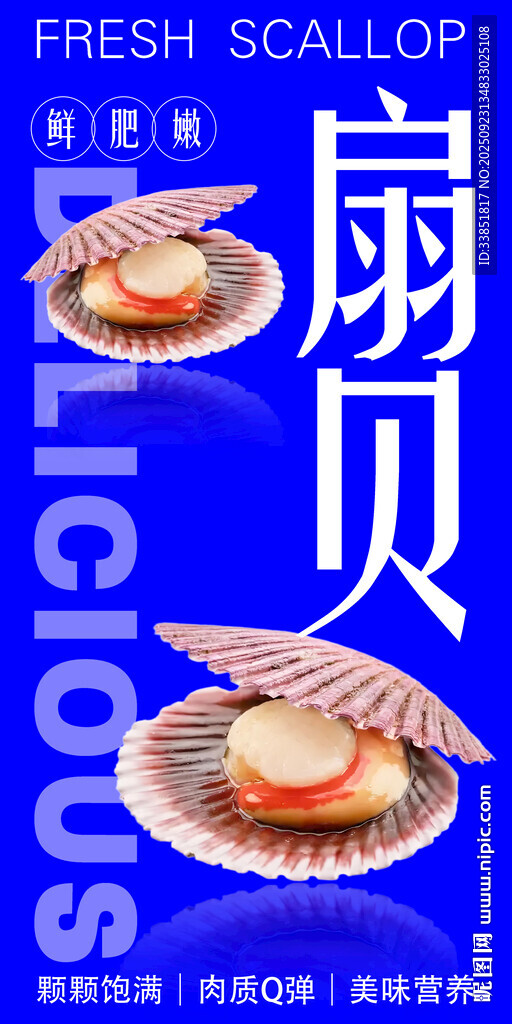 扇贝