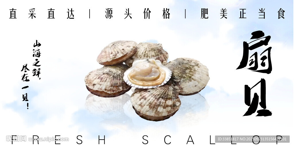 扇贝