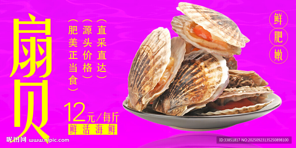 扇贝