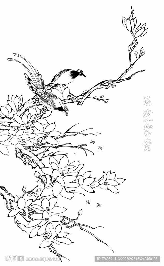 花鸟白描写意线条图