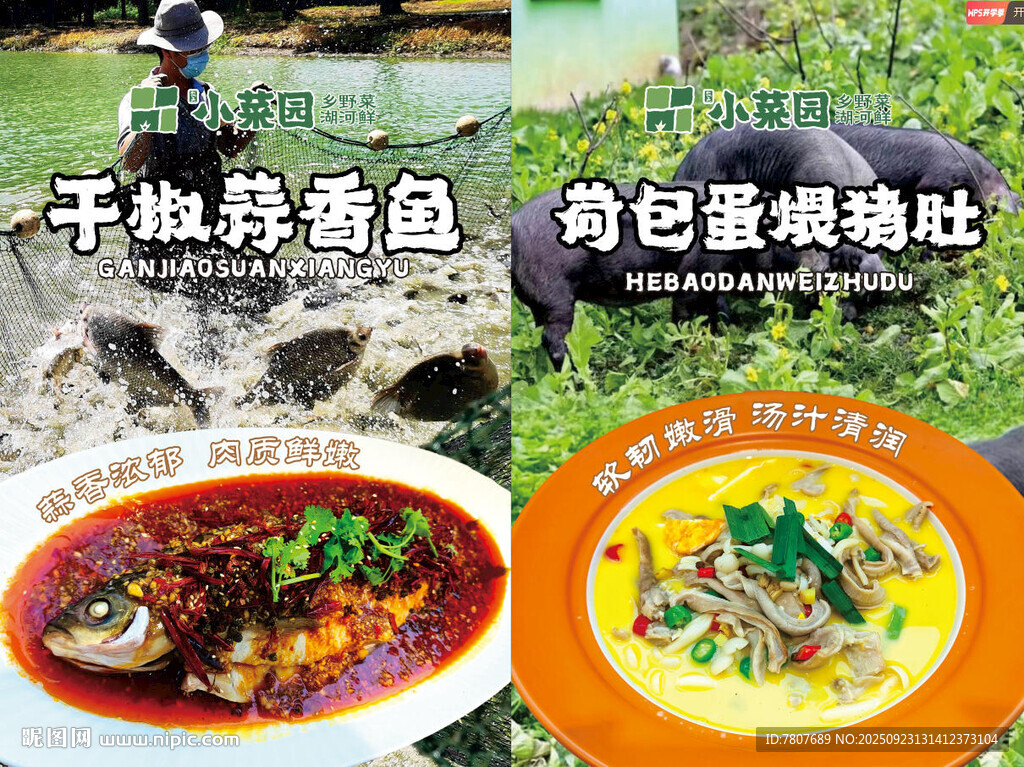 干椒蒜香鱼 荷包蛋煨猪肚