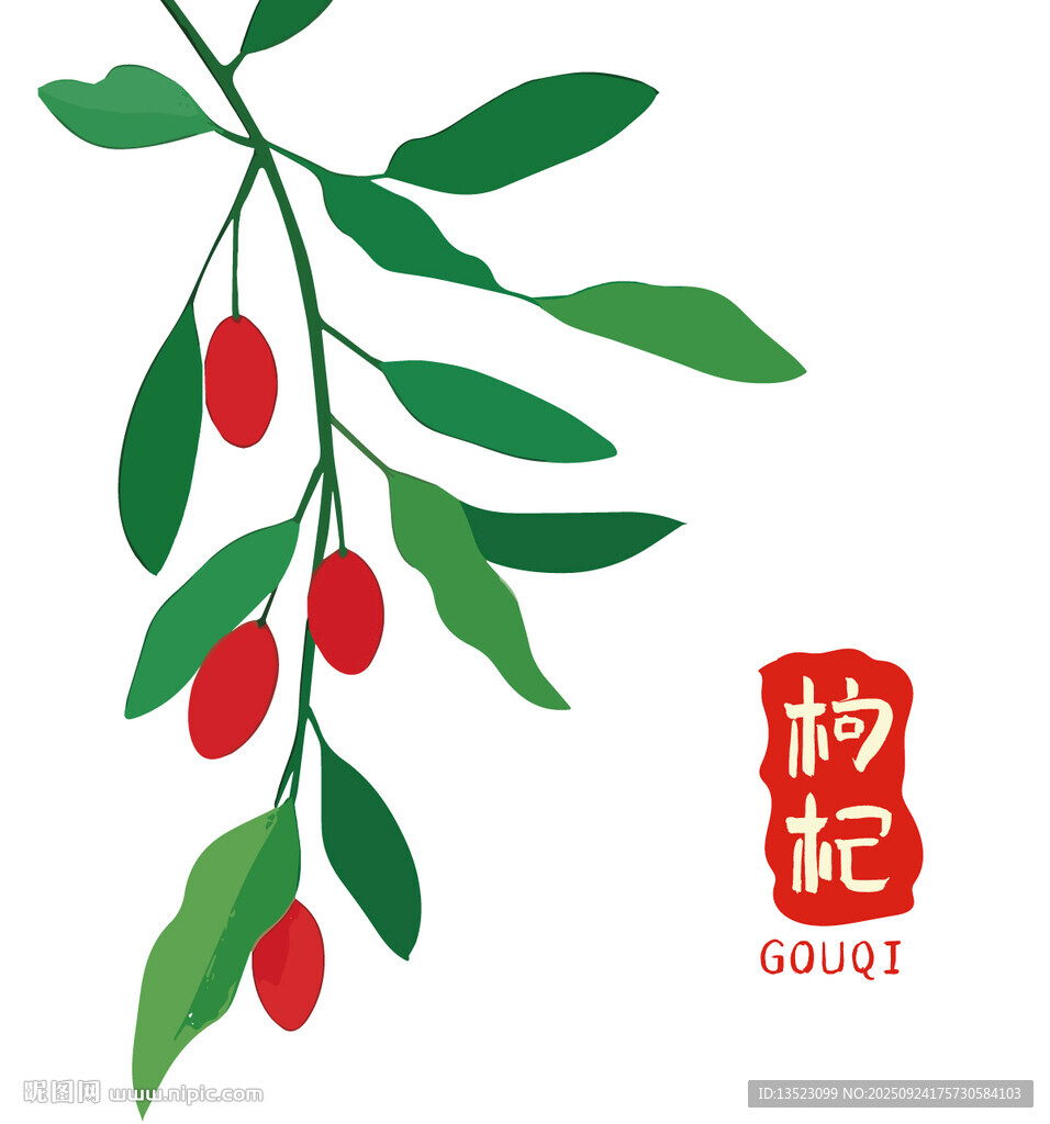 枸杞枝叶图案包装中药材海报