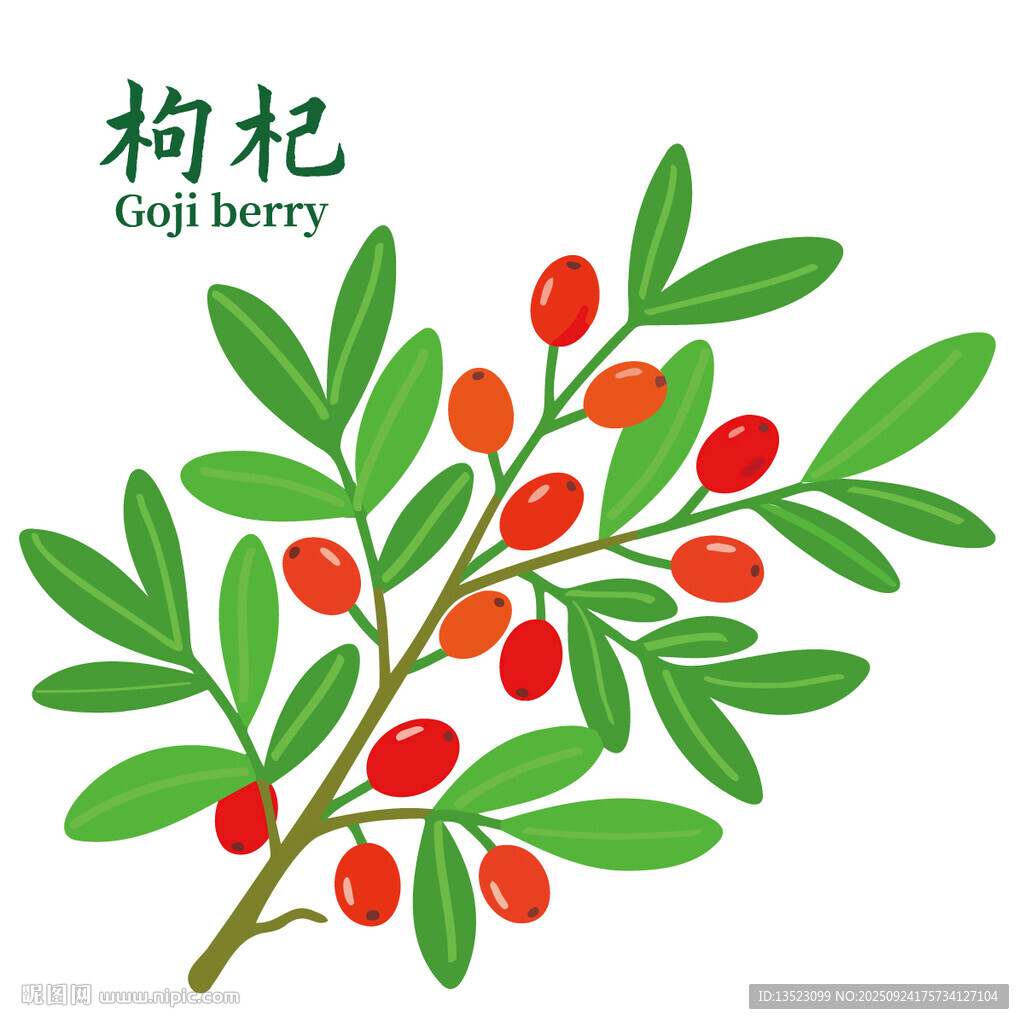枸杞图案包装设计中药养生茶饮