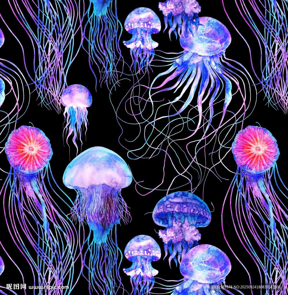 水母海洋生物