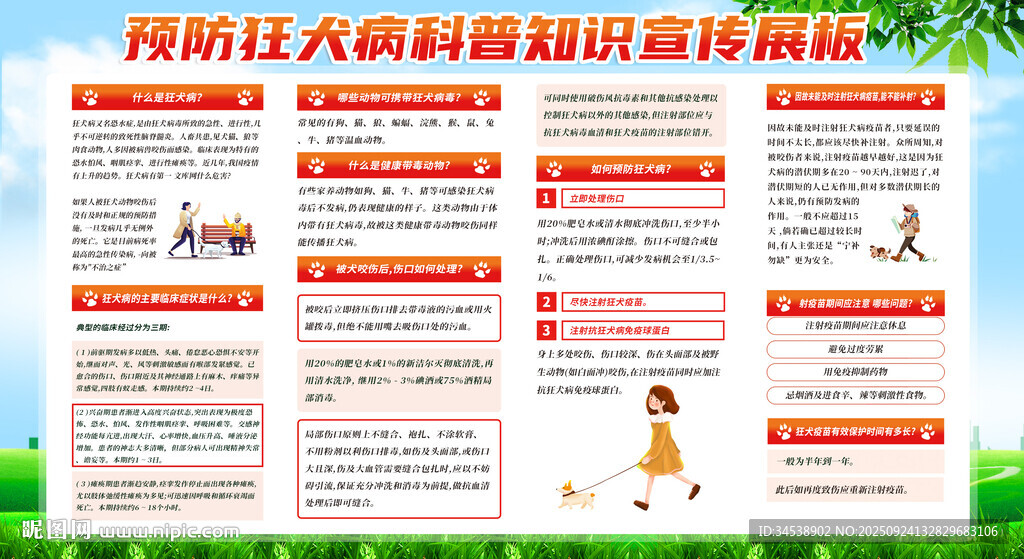 预防狂犬病科普知识宣传展板