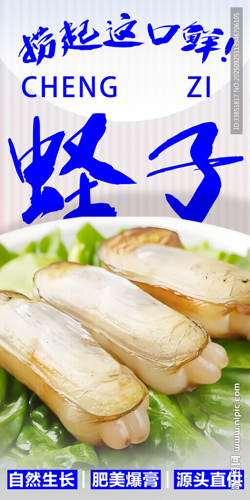  蛏子
