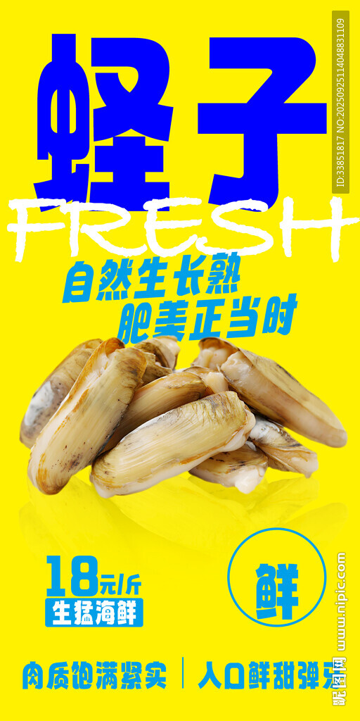  蛏子 