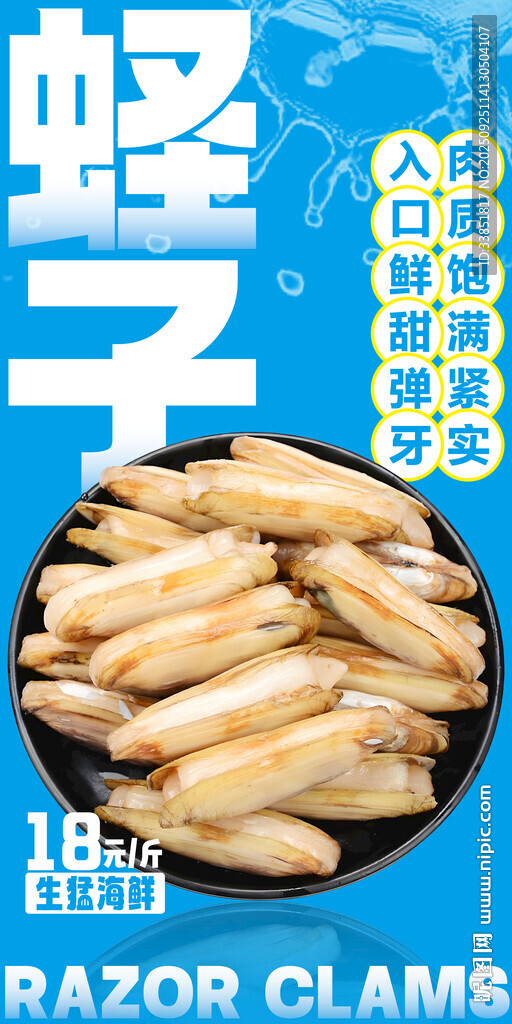  蛏子
