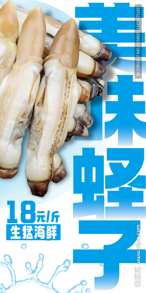  蛏子 