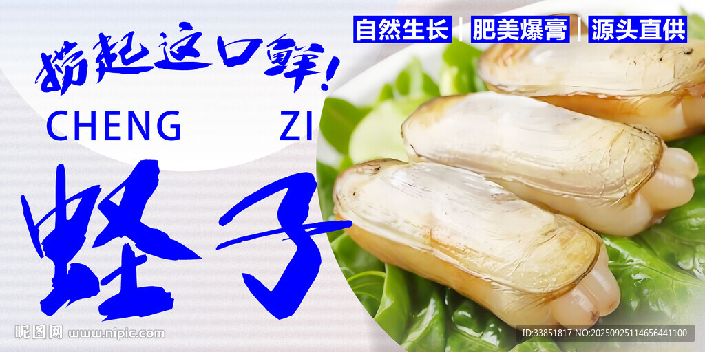  蛏子