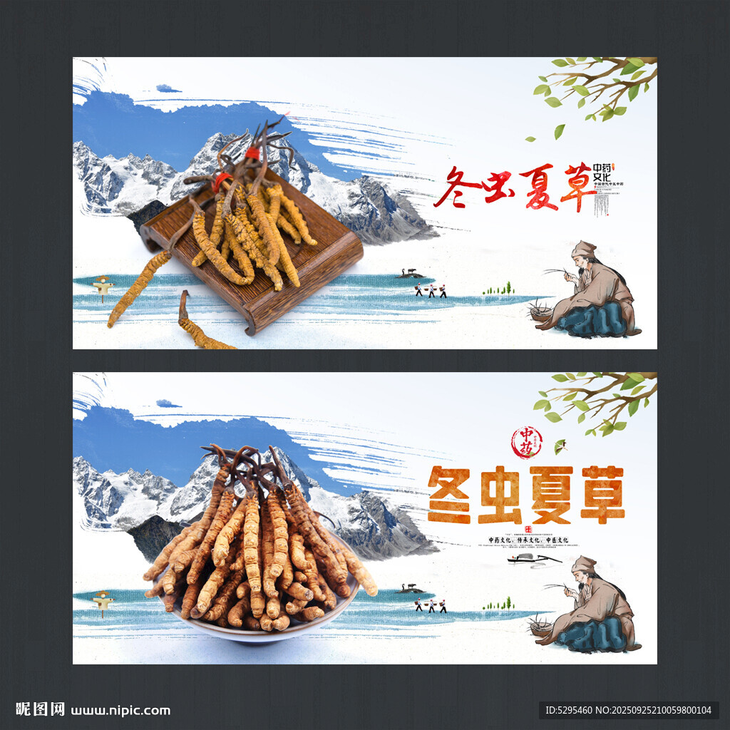 冬虫夏草
