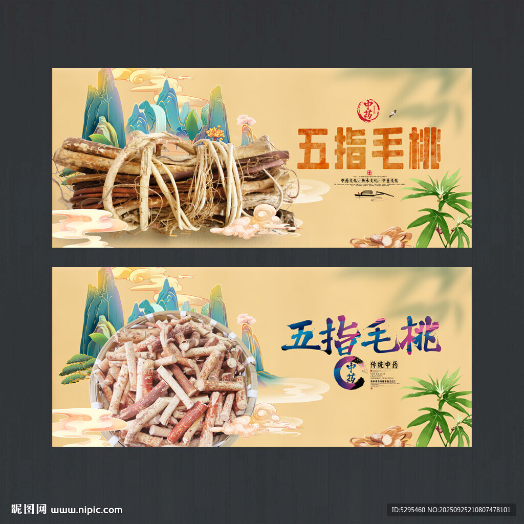五指毛桃