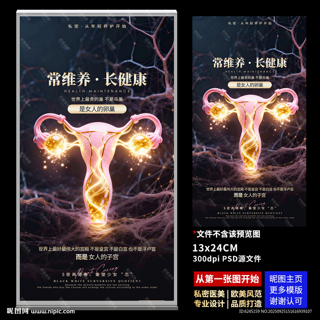 女性私密 子宫鎏金海报