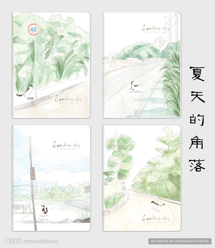 夏天的角落