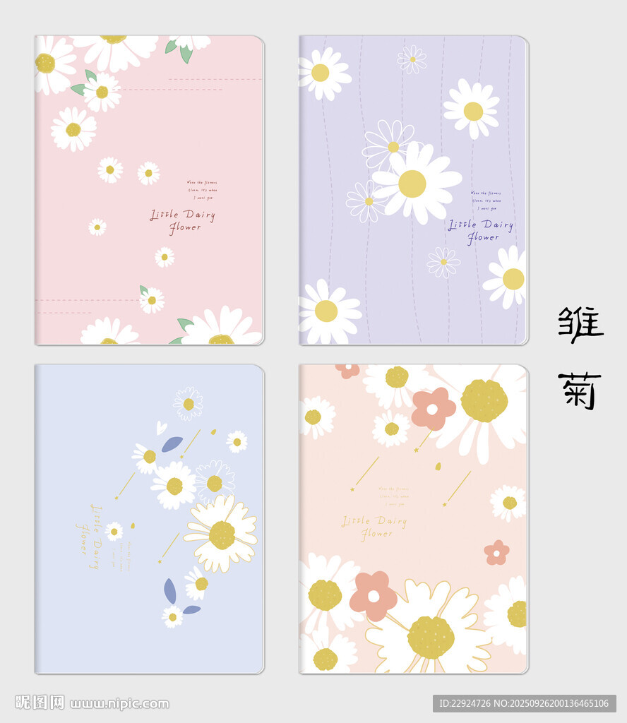 雏菊