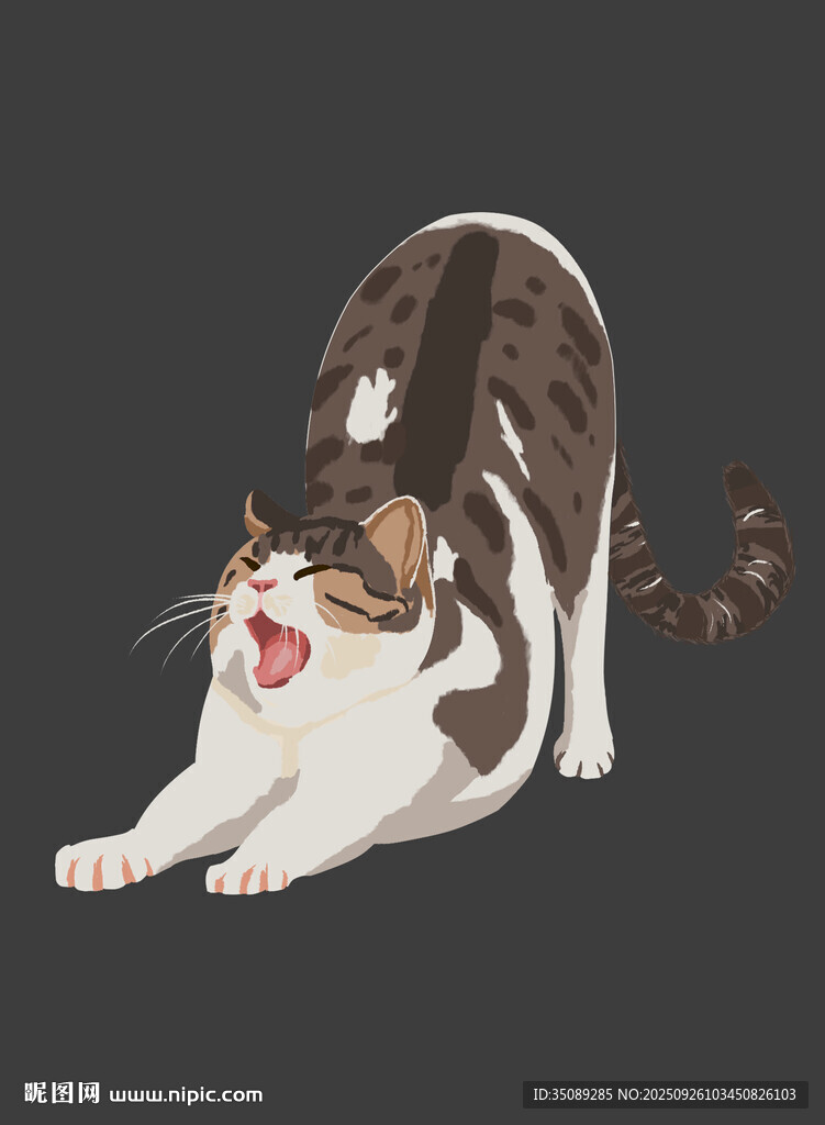 猫咪互动玩耍瞬间