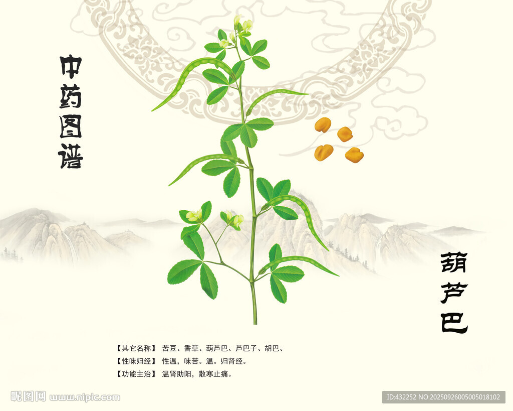 葫芦巴中药葫芦巴植物图示