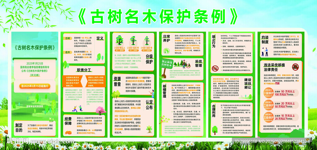 古树名木