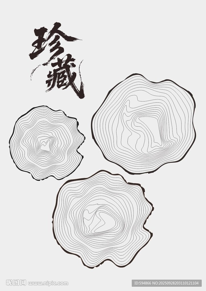 年轮